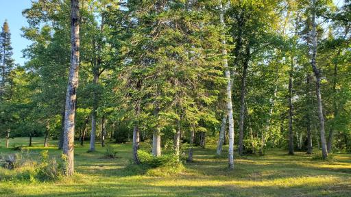 8763 Kabekona Ridge Drive NW, Walker, MN 56484