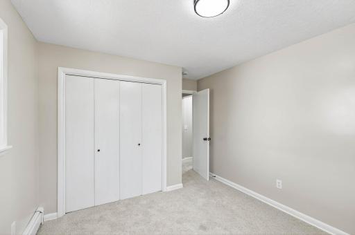 316 N Cedar Street, Chaska, MN 55318
