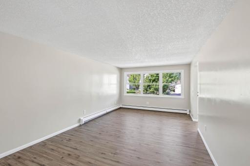 316 N Cedar Street, Chaska, MN 55318