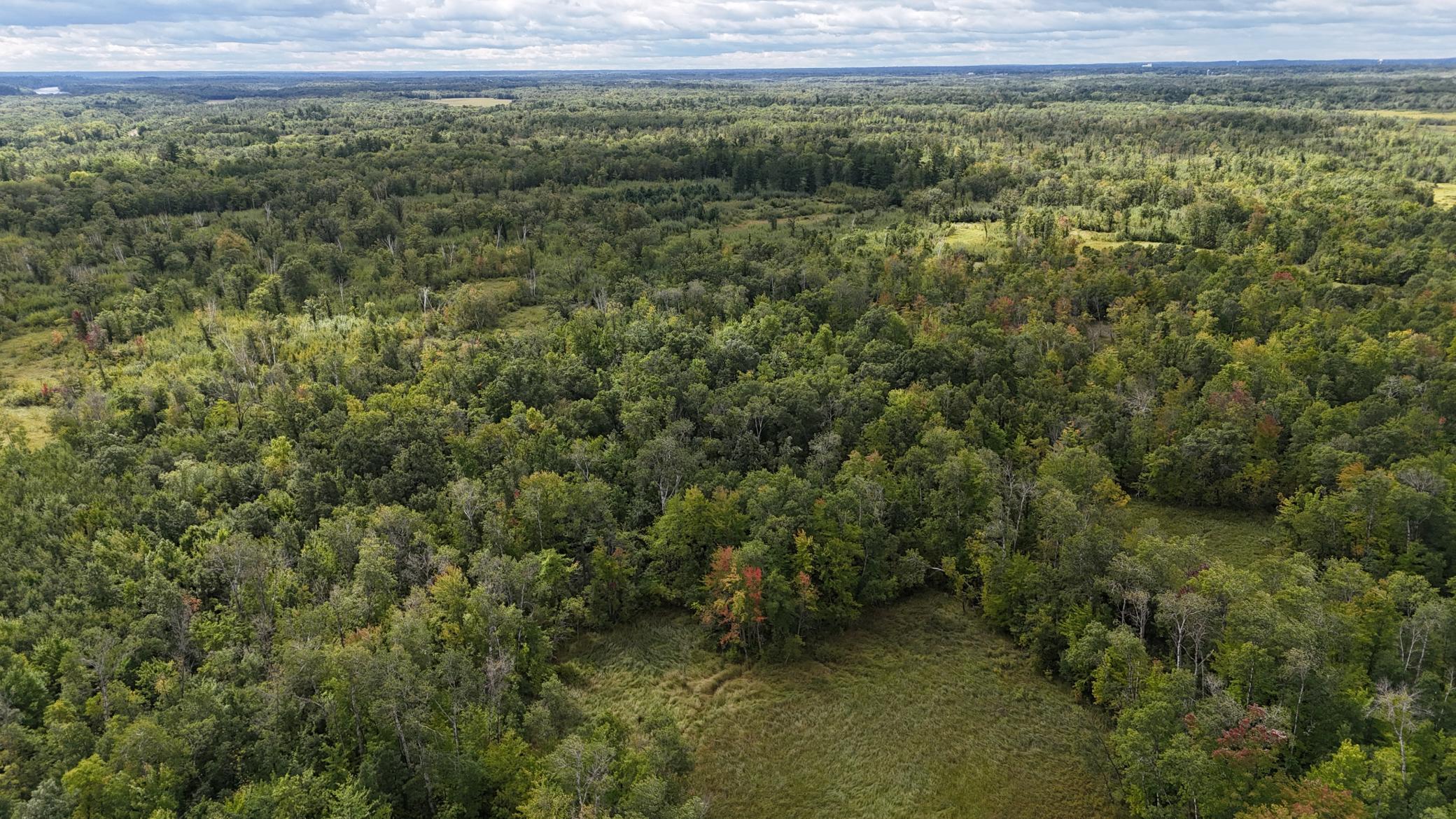 DJI_20250905125635_0093_D.JPG