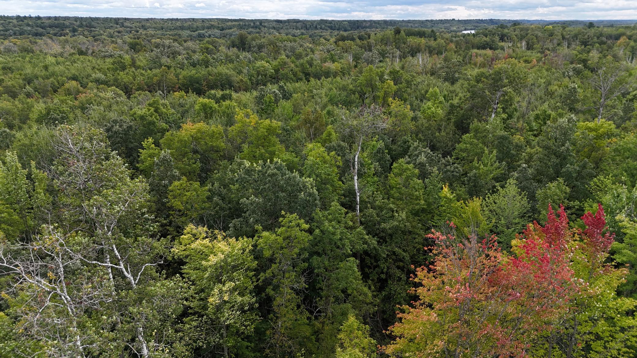 DJI_20250905130654_0116_D.JPG