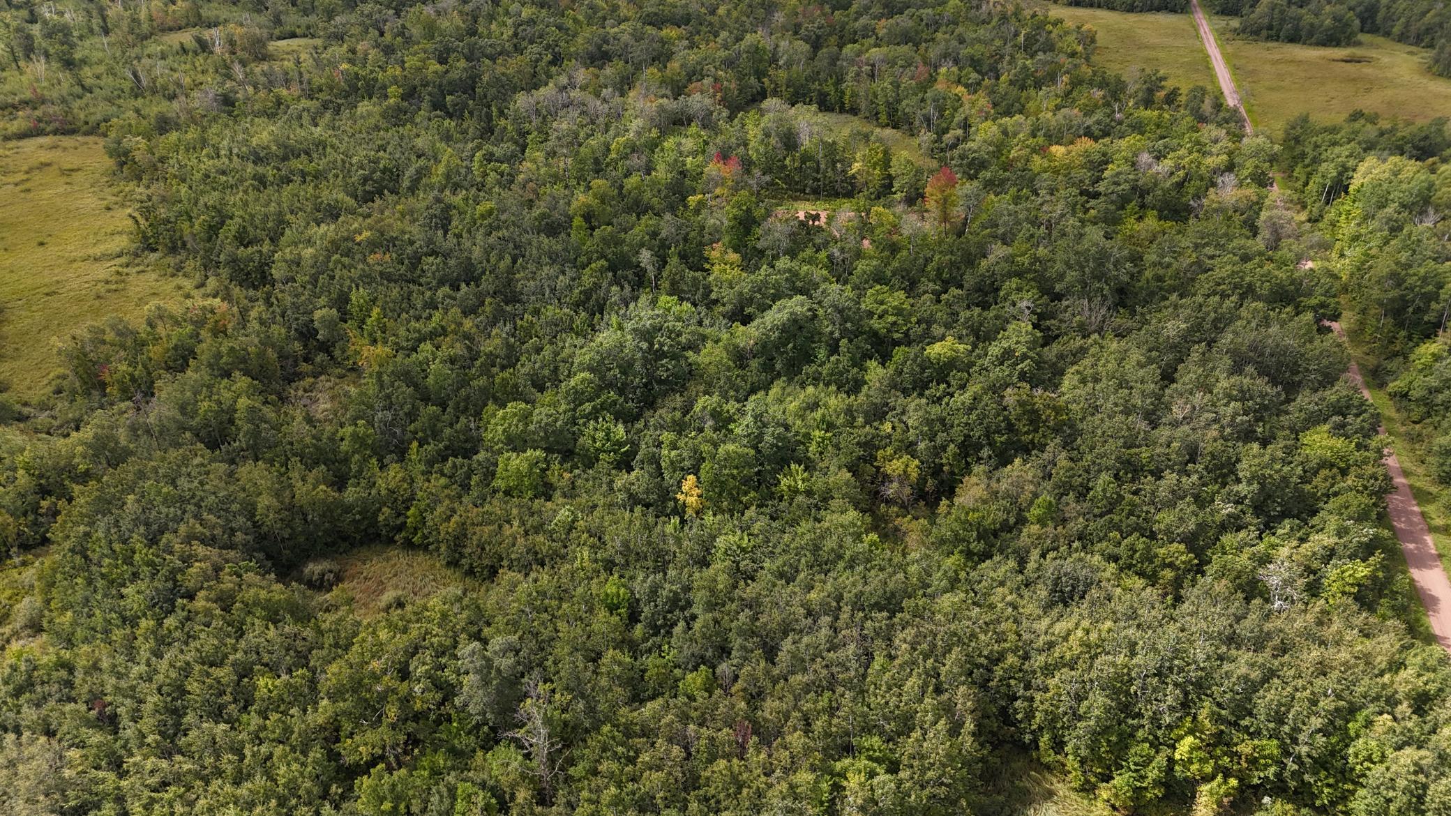 DJI_20250905130023_0105_D.JPG