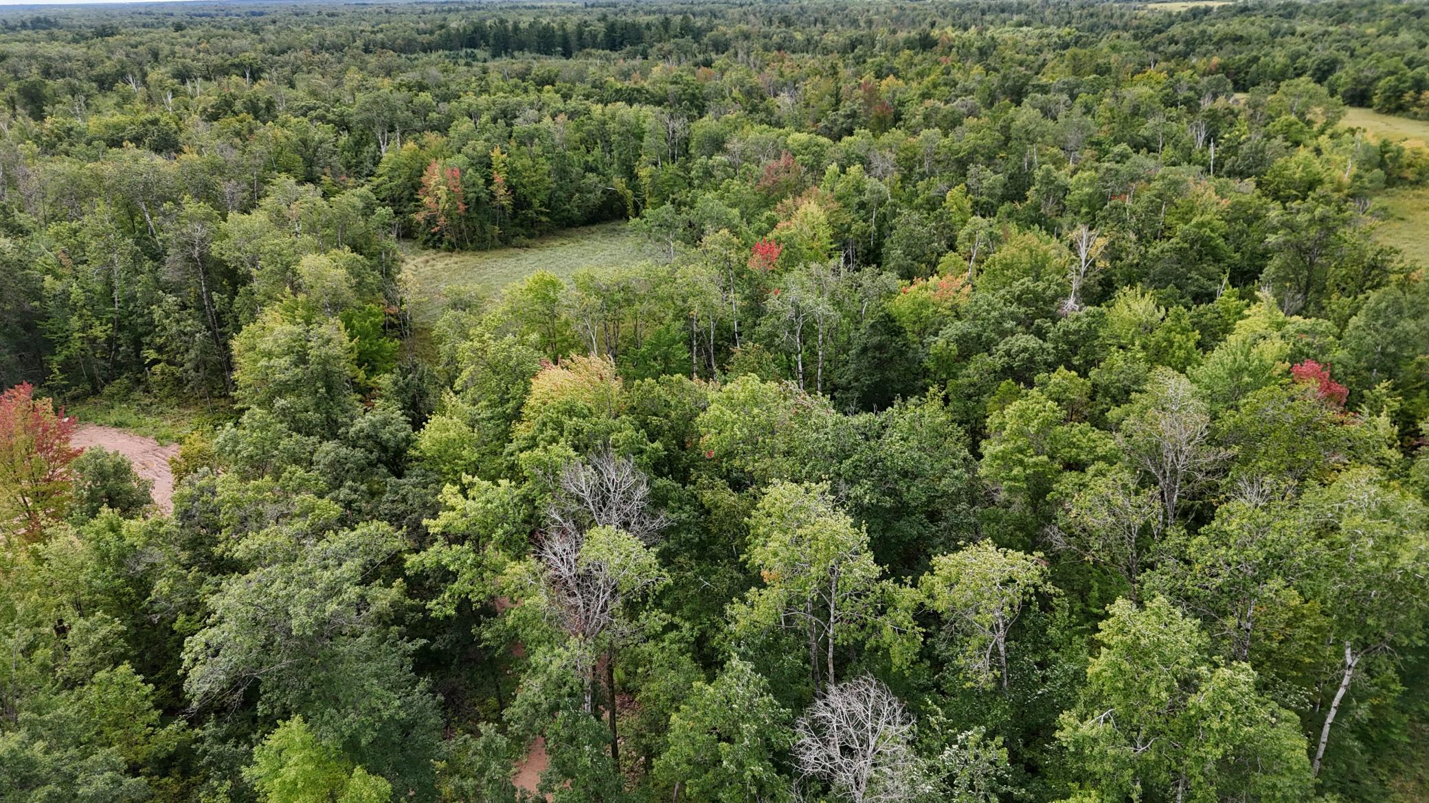 DJI_20250905130537_0111_D.JPG