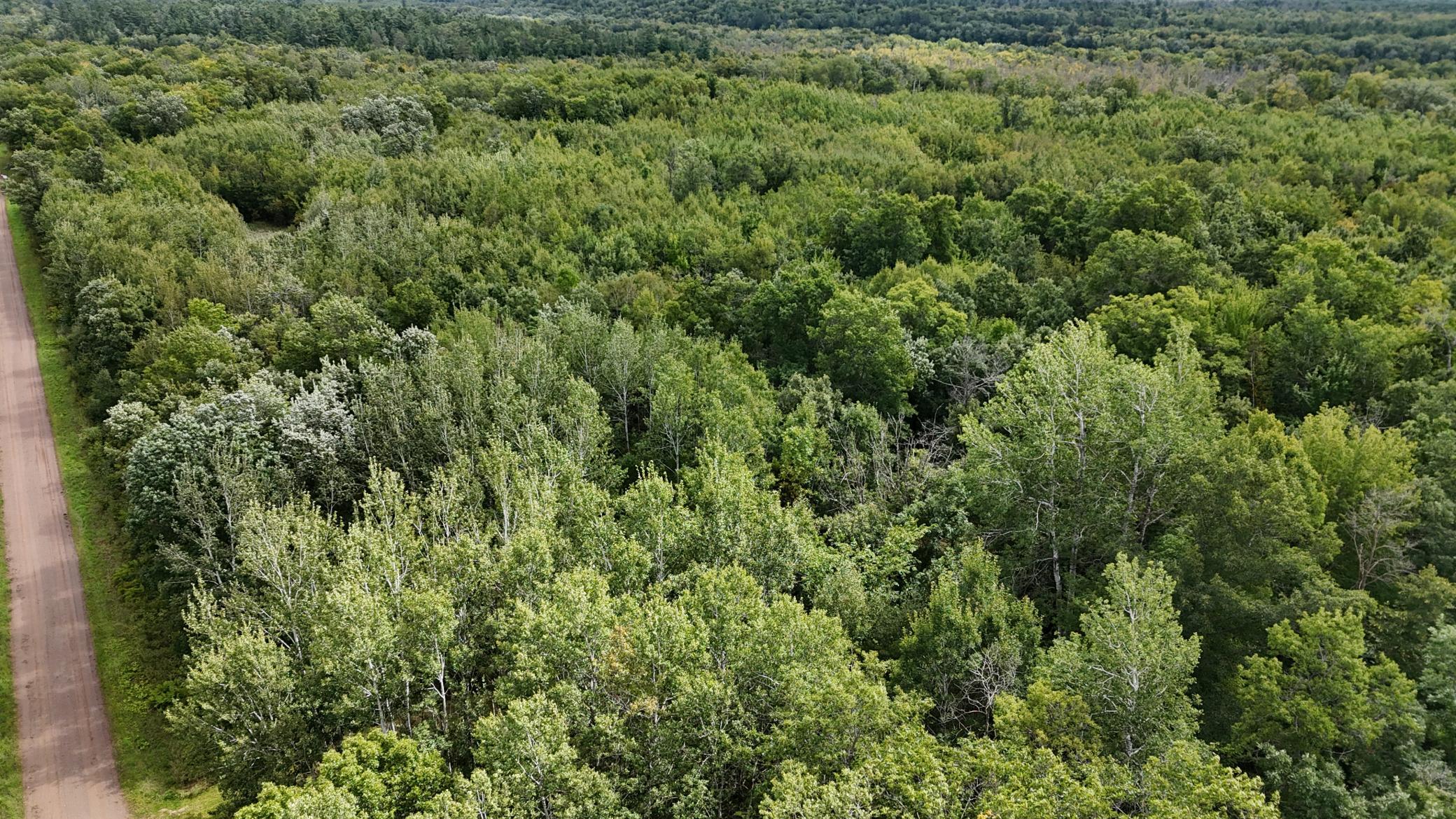 DJI_20250905130543_0112_D.JPG