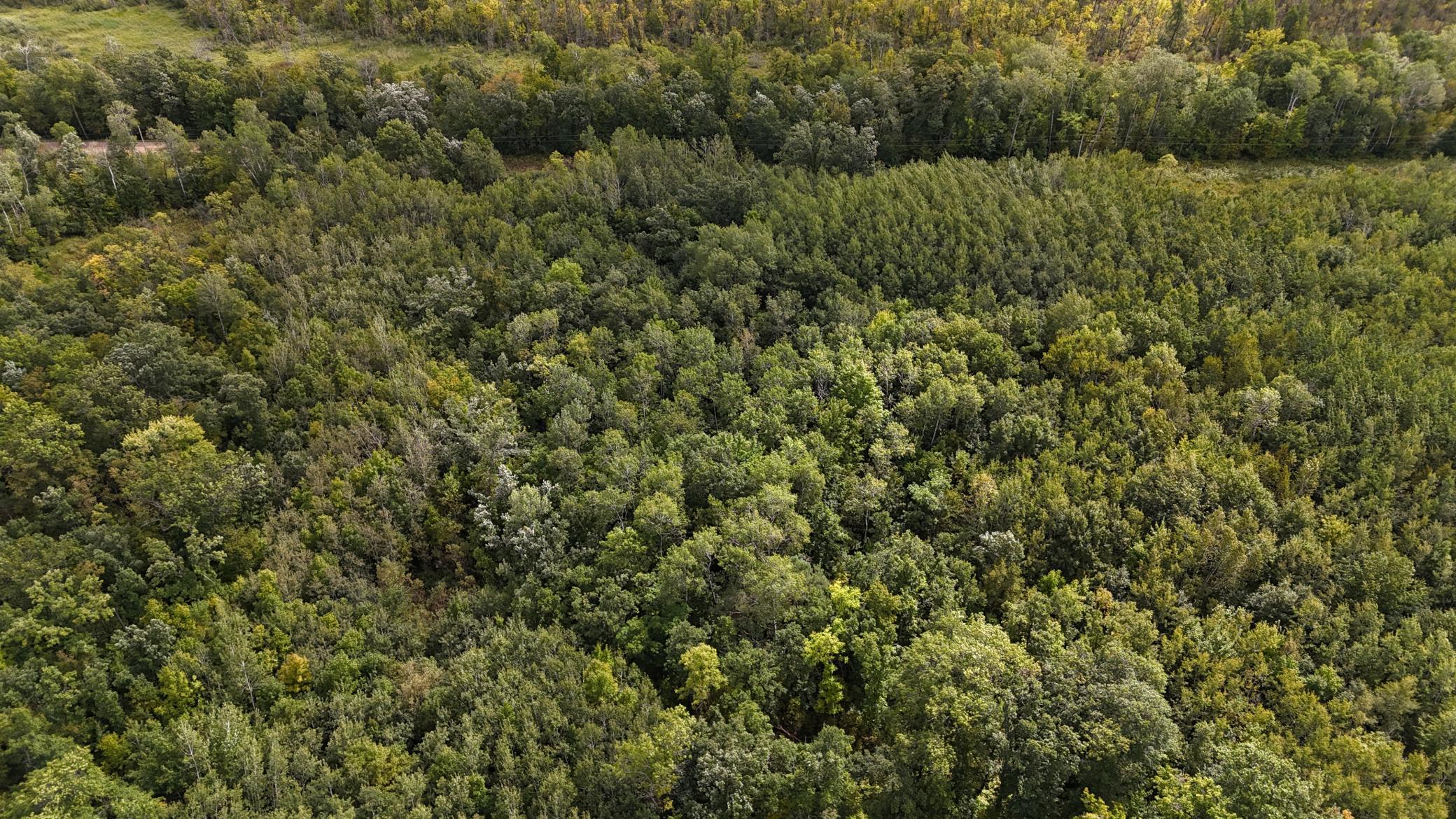 DJI_20250905130032_0106_D.JPG