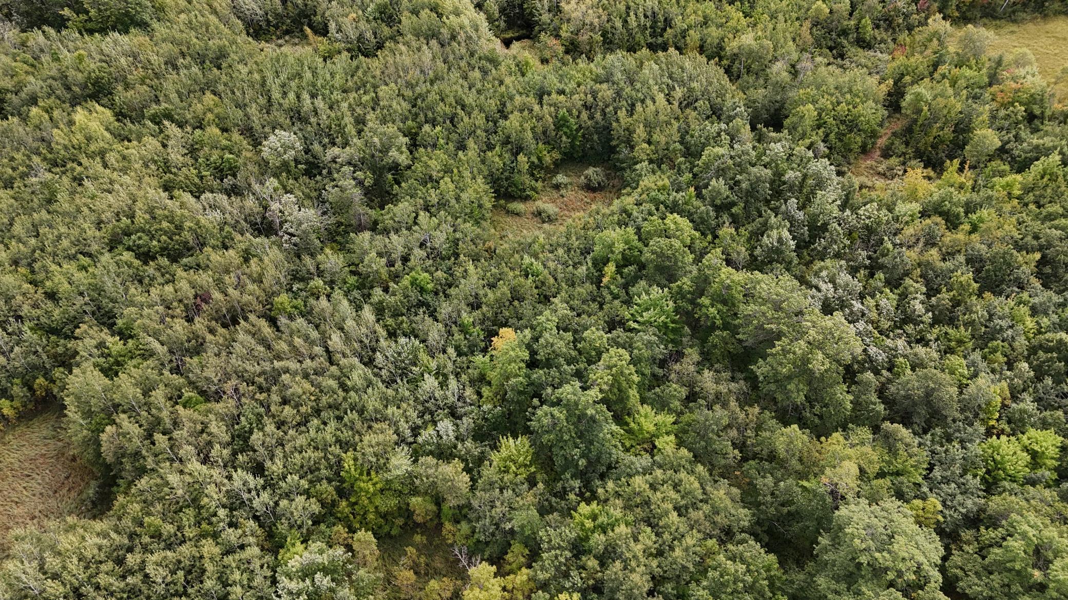 DJI_20250905130153_0107_D.JPG