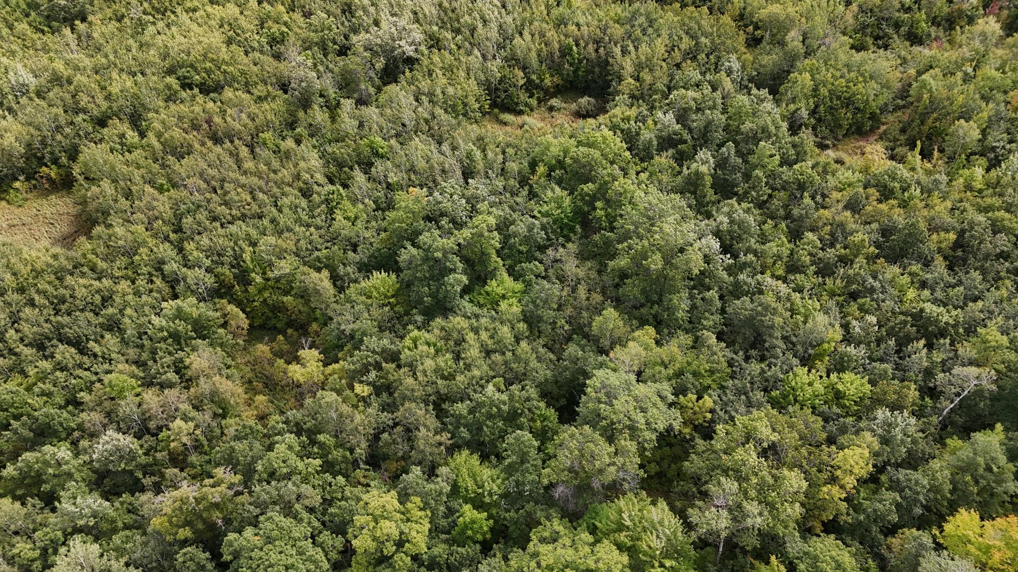 DJI_20250905130217_0108_D.JPG