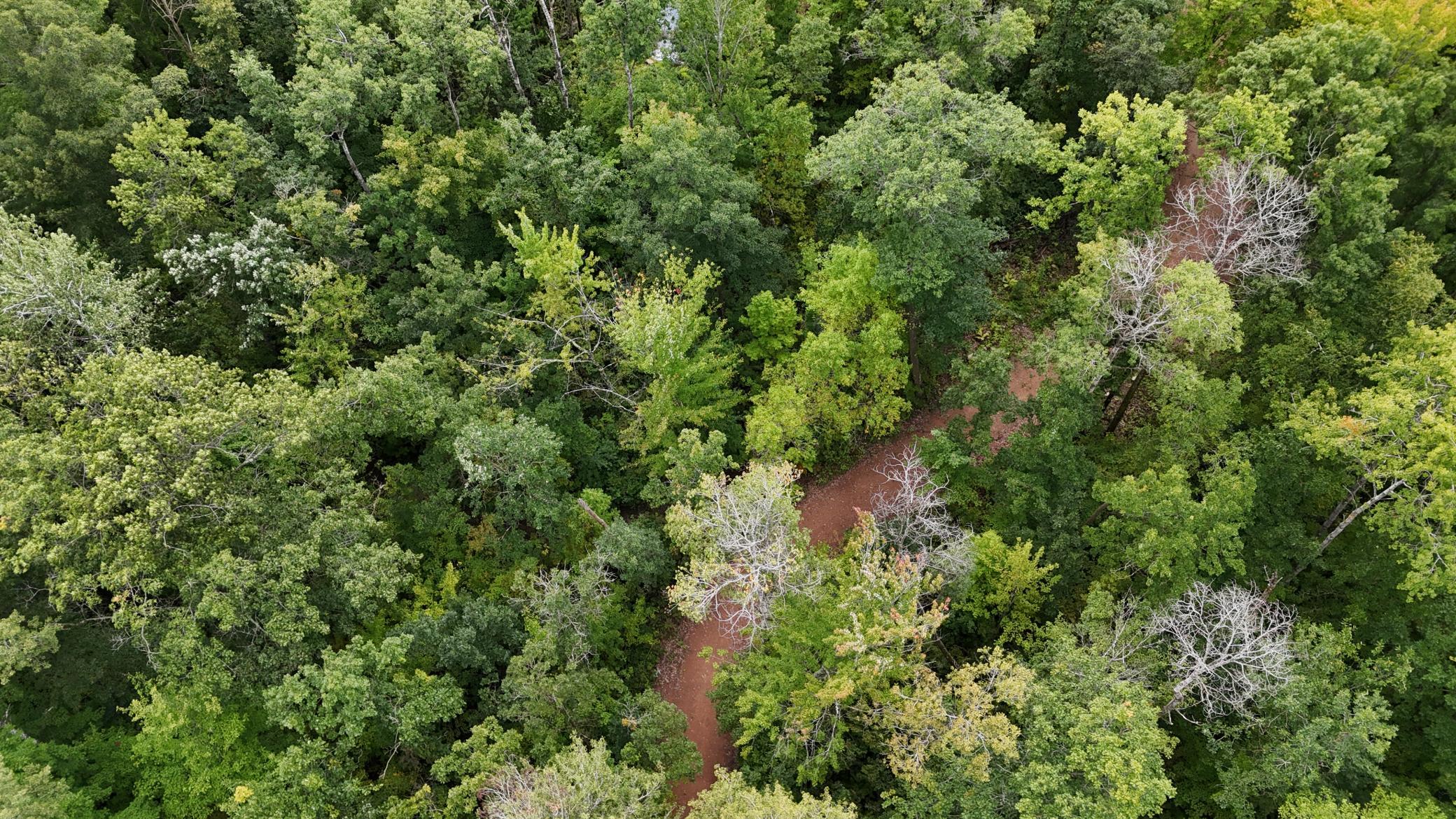 DJI_20250905125515_0088_D.JPG