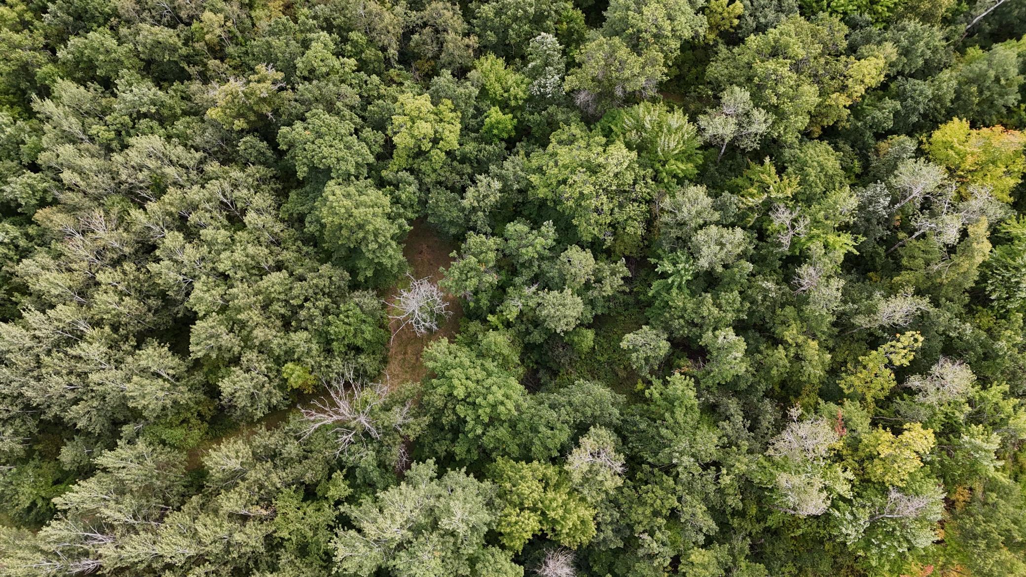 DJI_20250905130225_0109_D.JPG