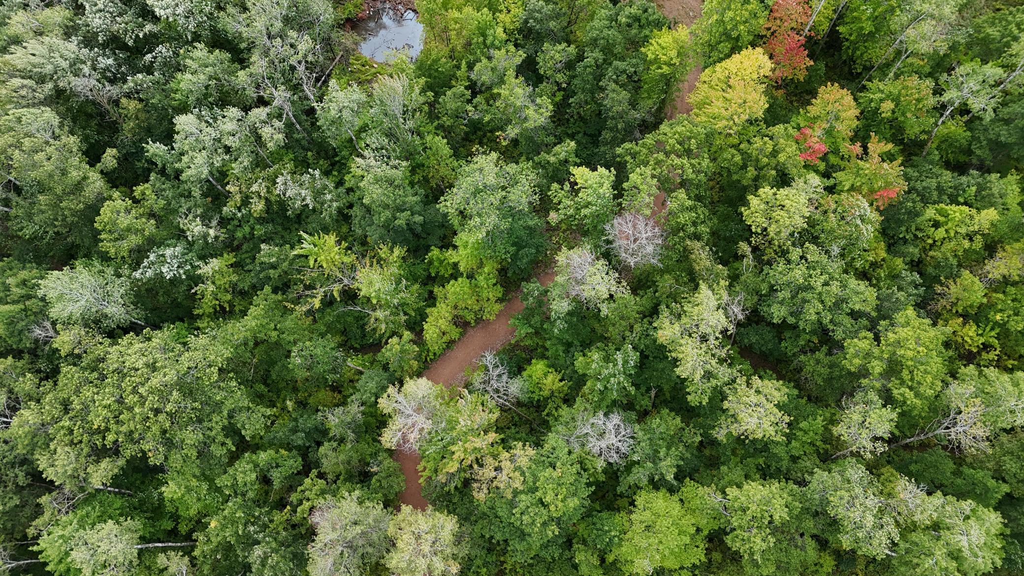 DJI_20250905125558_0090_D.JPG