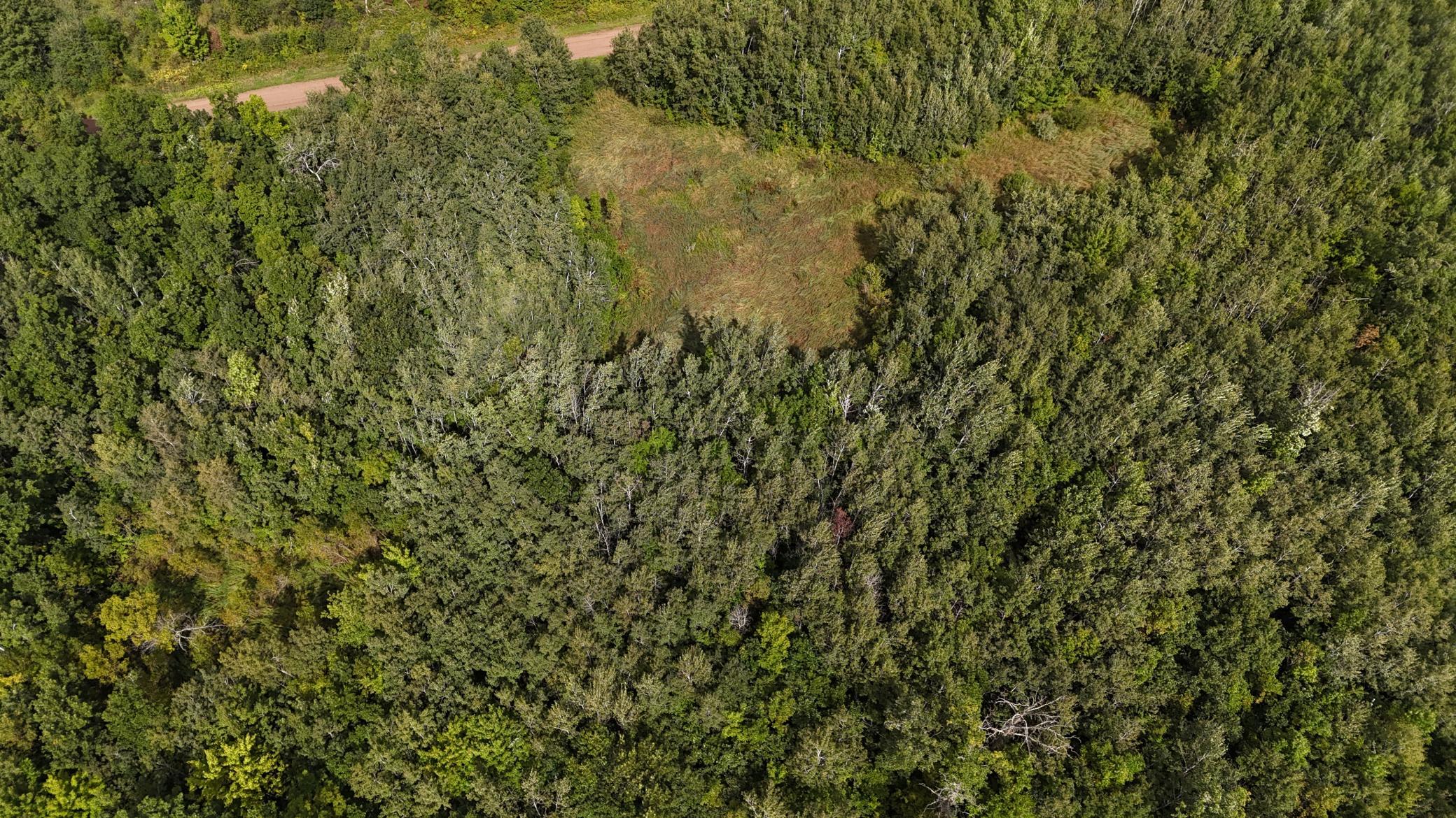 DJI_20250905125932_0103_D.JPG