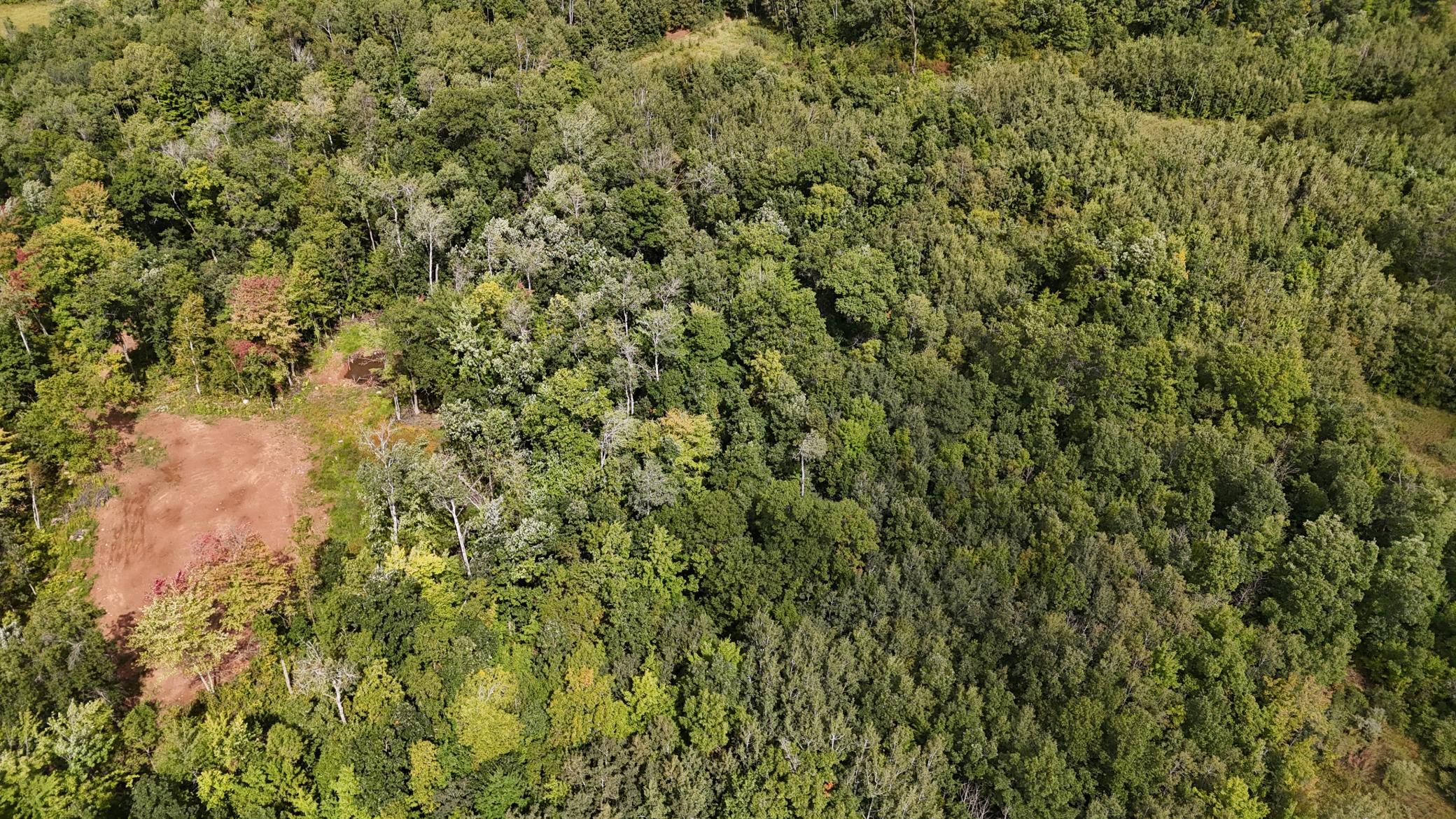 DJI_20250905125901_0102_D.JPG