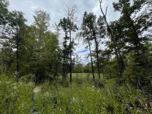 11701 540th Street, Rush City, MN 55069
