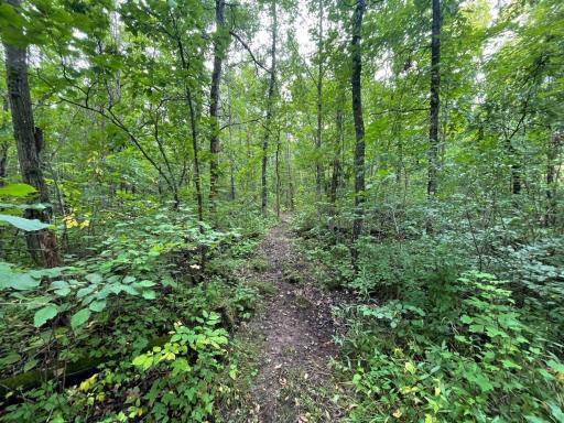 11701 540th Street, Rush City, MN 55069