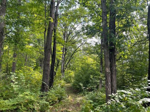 11701 540th Street, Rush City, MN 55069