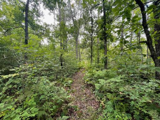 11701 540th Street, Rush City, MN 55069