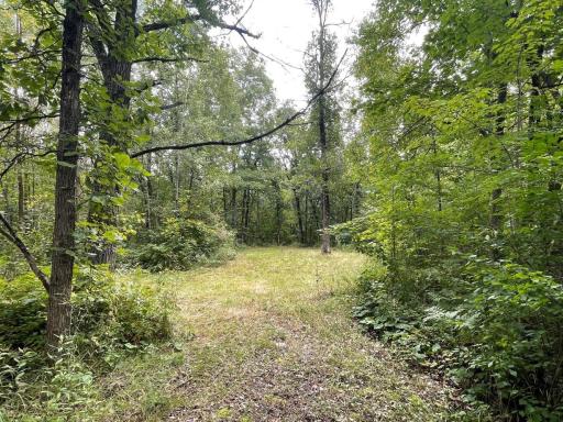 11701 540th Street, Rush City, MN 55069