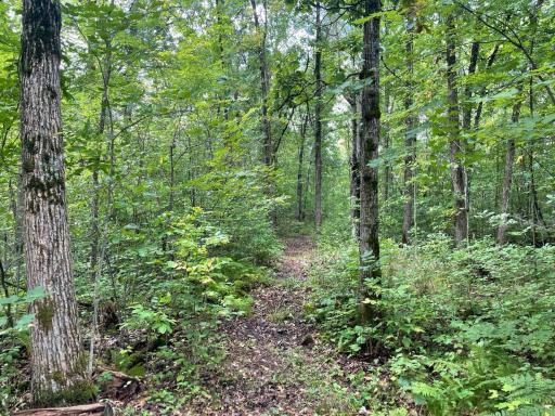 11701 540th Street, Rush City, MN 55069