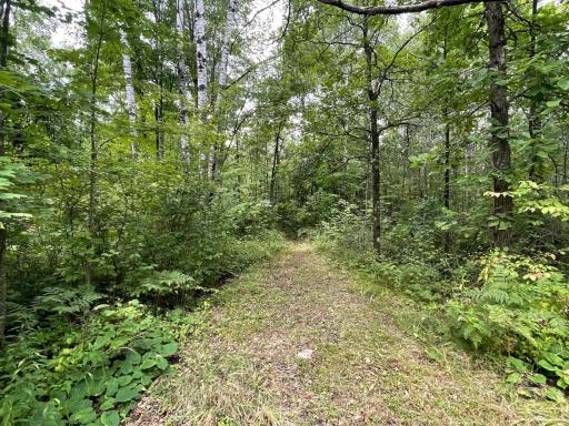 11701 540th Street, Rush City, MN 55069