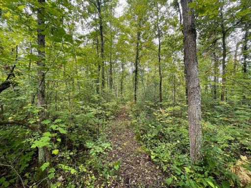 11701 540th Street, Rush City, MN 55069