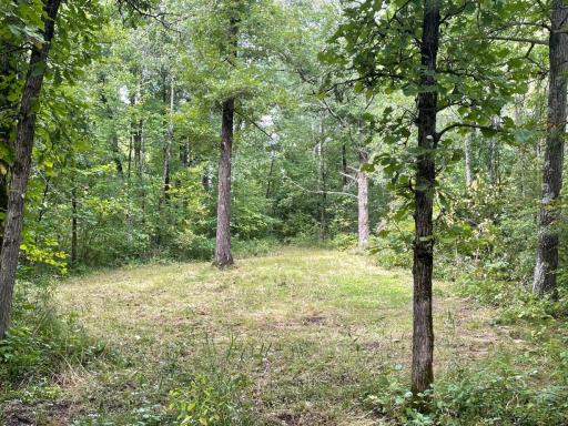 11701 540th Street, Rush City, MN 55069