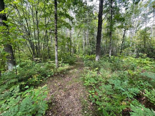 11701 540th Street, Rush City, MN 55069