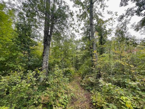 11701 540th Street, Rush City, MN 55069