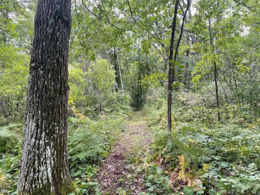 11701 540th Street, Rush City, MN 55069