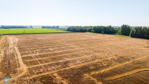 TBD 430 Ave SW, East Grand Forks, MN 56721