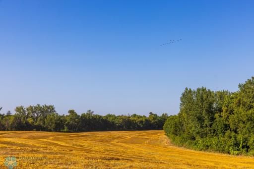 TBD 430 Ave SW, East Grand Forks, MN 56721