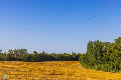 TBD 430 Ave SW, East Grand Forks, MN 56721