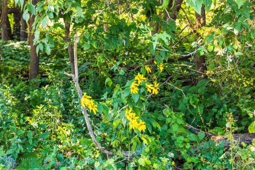 TBD 430 Ave SW, East Grand Forks, MN 56721