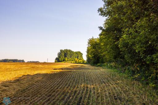 TBD 430 Ave SW, East Grand Forks, MN 56721