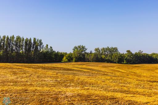 TBD 430 Ave SW, East Grand Forks, MN 56721