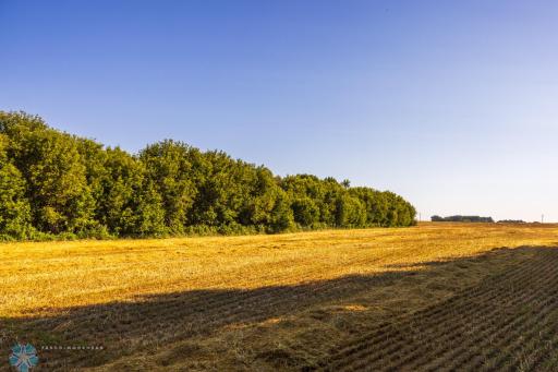 TBD 430 Ave SW, East Grand Forks, MN 56721