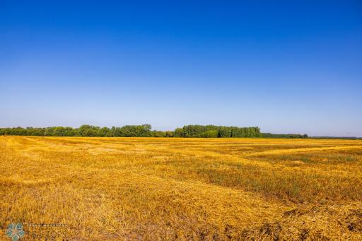 TBD 430 Ave SW, East Grand Forks, MN 56721