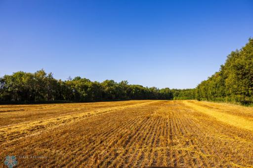 TBD 430 Ave SW, East Grand Forks, MN 56721