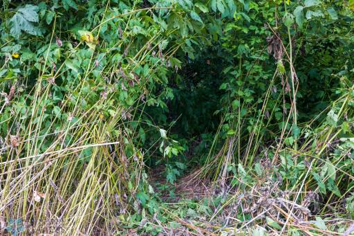 TBD 430 Ave SW, East Grand Forks, MN 56721