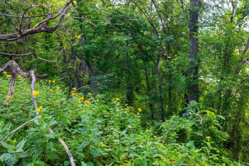 TBD 430 Ave SW, East Grand Forks, MN 56721