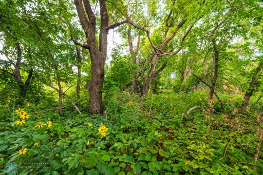 TBD 430 Ave SW, East Grand Forks, MN 56721