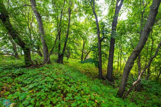 TBD 430 Ave SW, East Grand Forks, MN 56721