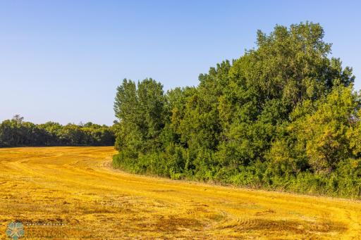 TBD 430 Ave SW, East Grand Forks, MN 56721