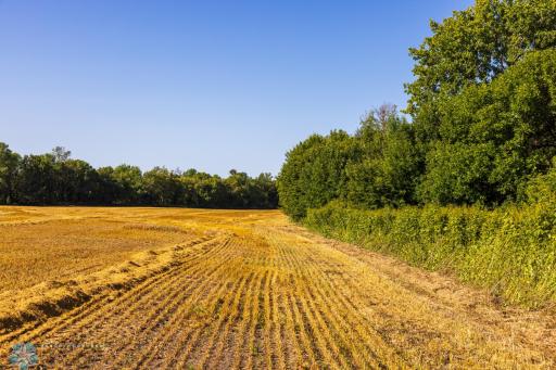 TBD 430 Ave SW, East Grand Forks, MN 56721