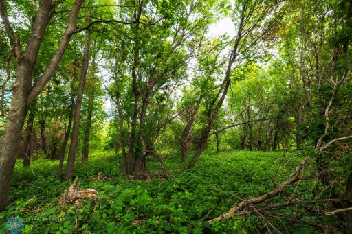 TBD 430 Ave SW, East Grand Forks, MN 56721