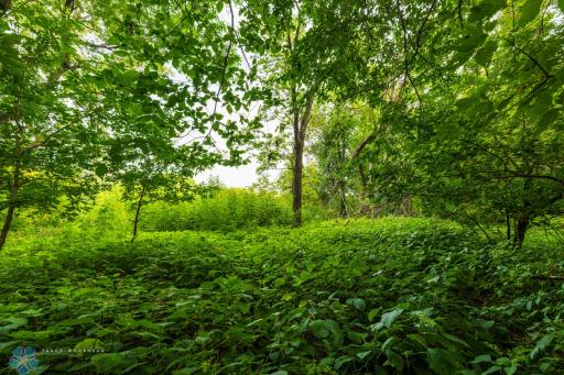 TBD 430 Ave SW, East Grand Forks, MN 56721