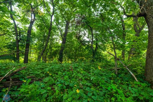 TBD 430 Ave SW, East Grand Forks, MN 56721