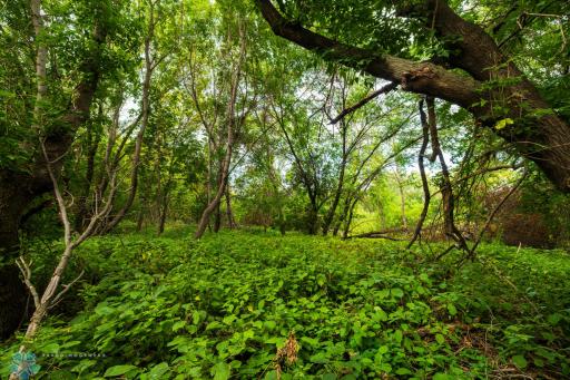 TBD 430 Ave SW, East Grand Forks, MN 56721