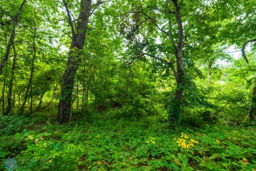 TBD 430 Ave SW, East Grand Forks, MN 56721