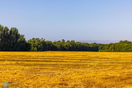 TBD 430 Ave SW, East Grand Forks, MN 56721