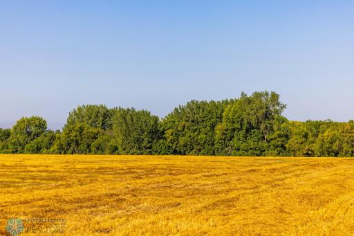 TBD 430 Ave SW, East Grand Forks, MN 56721